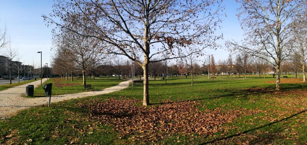 "Casa Giuliari" In Borgo Roma Vicino Policlinico Univr Fiera Apartman Verona Kültér fotó